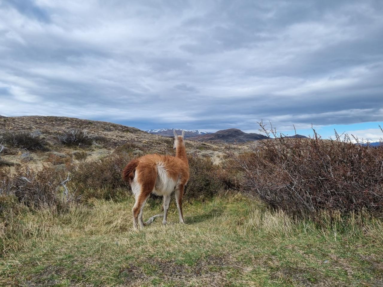 Voľný deň v El Calafate klienti využijú na fakulatívne aktivity