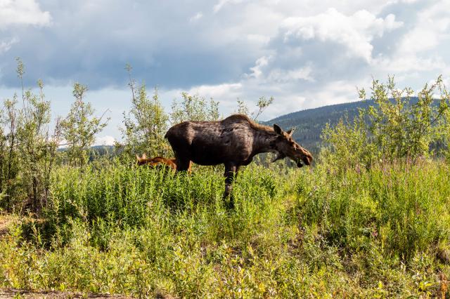 Stačí mať len oči otvorené. 
foto: Ľubor KUČERA – 