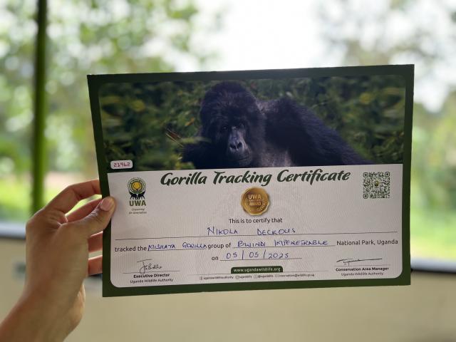 Certifikát, ktorý dostanete po úspešnom absolvovaní treku. Foto