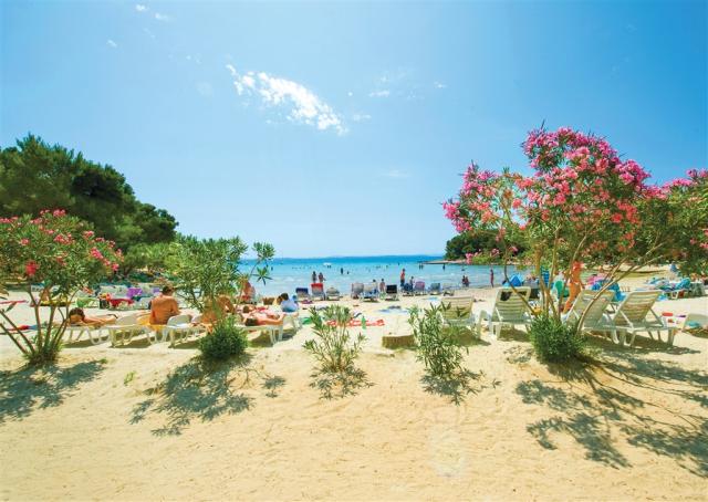 beach 1.jpg
