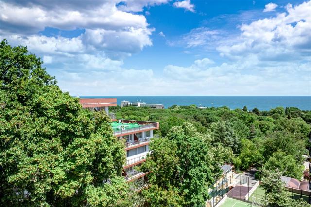 Terrace view.jpg