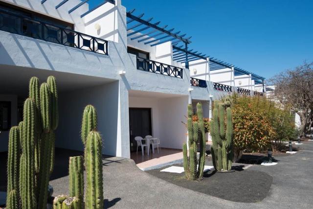 Olé Olivina Lanzarote