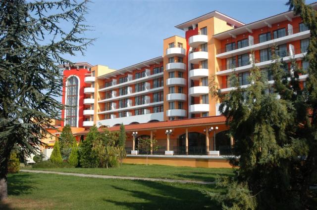 Hrizantema