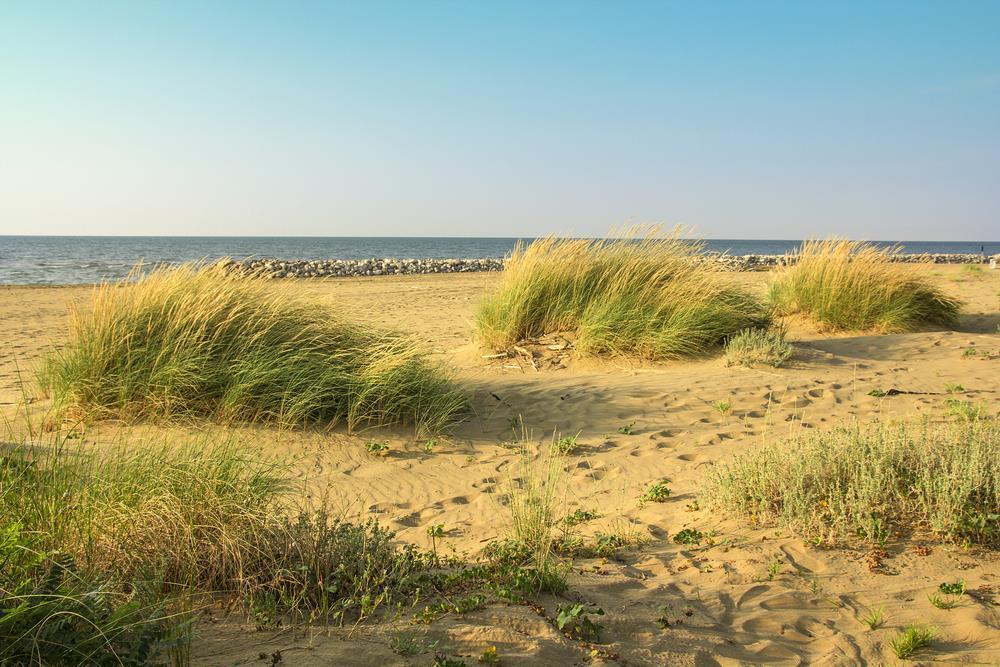 Rezidencia Gondola B v BIBIONE SPIAGGIA, zájazdy autobusovou a