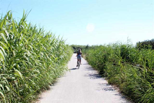 Rezidencia Mediterraneo due- cyklistický chodník - zájazd vlast