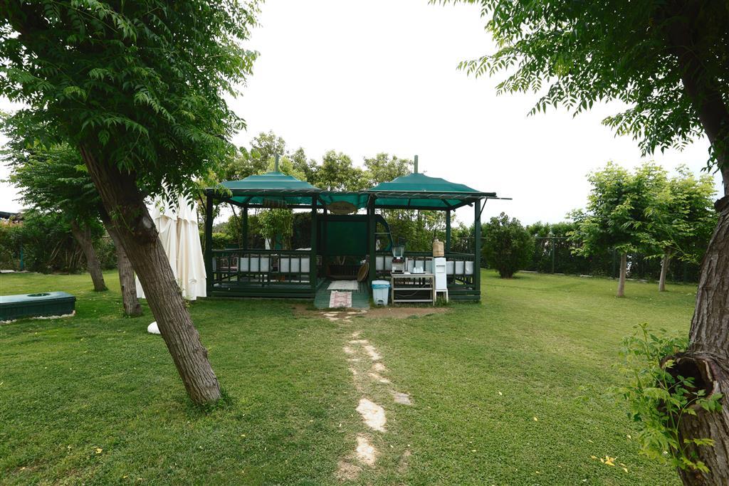 Insula Resort - gozleme - letecký zájazd CK - Turecko, Konakli