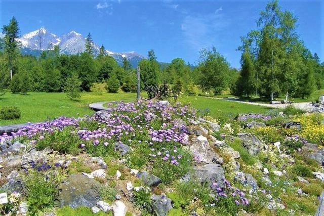 CK , Autobusový poznávací zájazd, Vysoké Tatry a severný Spiš, 