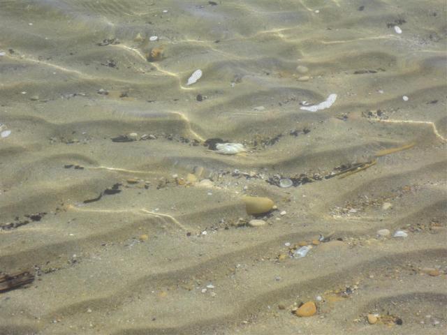Rezidencia Seaside - pláž - zájazd vlastnou dopravou CK  - Tali