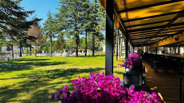Queen Nelly Park - izba - letecky a autokarový zájazd s CK  - K