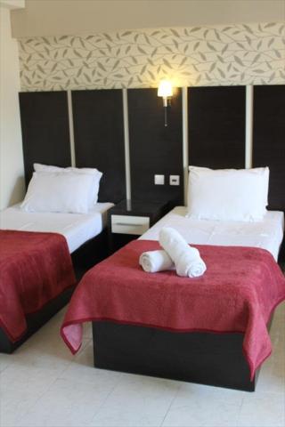 Hotel Rose - štúdio - letecký zájazd CK  - Kallithea, Rodos