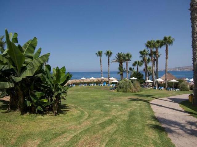 Cynthiana Beach Hotel - záhrada - letecký zájazd CK  - Cyprus, 