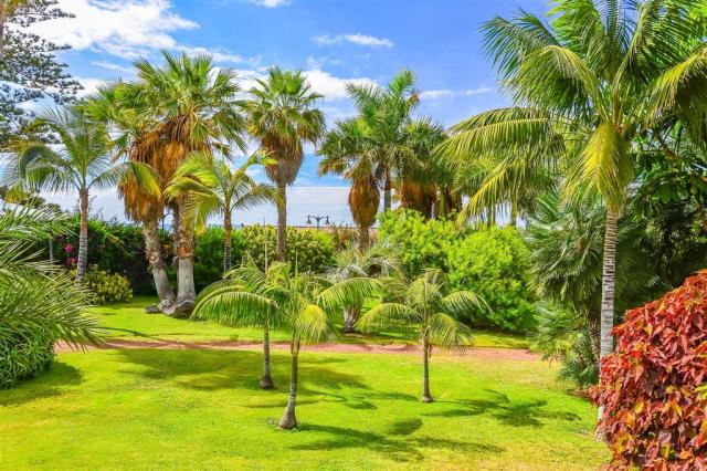 CK , Letecký poznávací zájazd, Španielsko, Tenerife - sopečný s