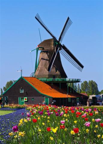 CK , Letecký poznávací zájazd, Amsterdam, Zaanse Schans