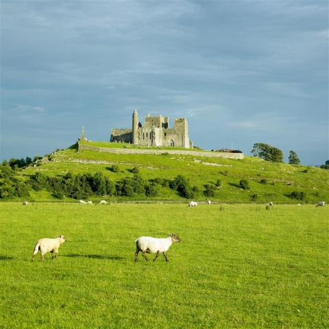Okruh Írskom, letecký poznávací zájazd, Rock of Cashel