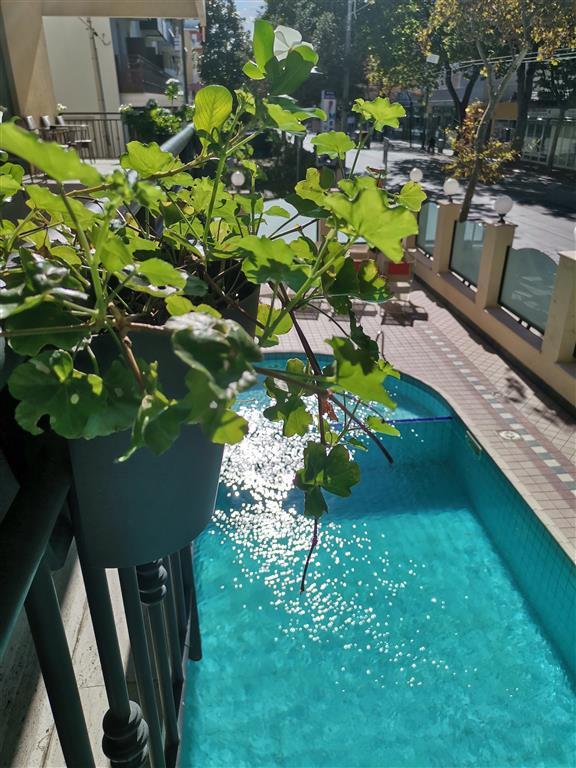 Hotel ARTIDE Rimini Taliansko, dovolenka s CK autobusovou aleb