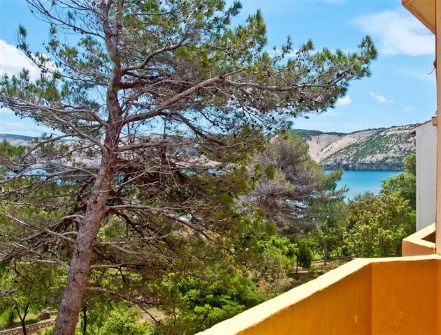 Hotel San Maino Sunny Resort Veli Mel - zájazd CK  - Chorvátsko