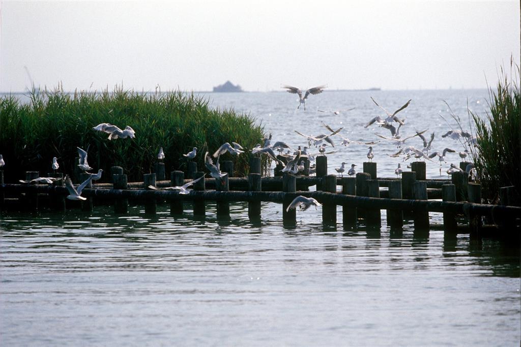 Hotel Laguna Park - zájazd CK - Taliansko - Bibione