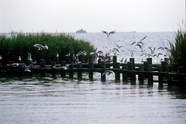 Hotel Laguna Park - zájazd CK  - Taliansko - Bibione