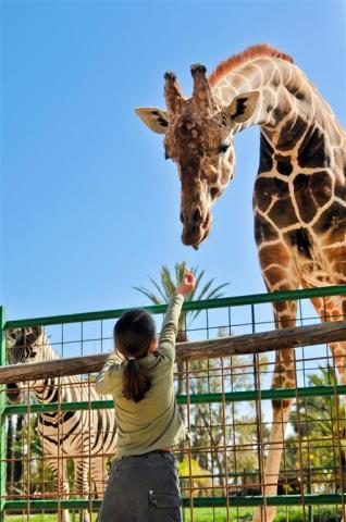 CK , autobusový poznávací zájazd, Legoland a ZOO Hellabrunn, zo