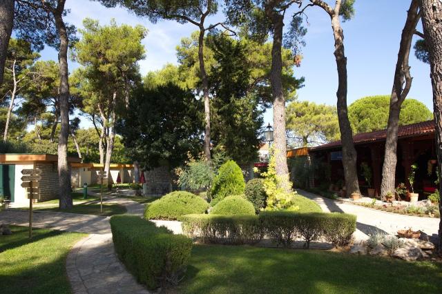 Dovolenka / zájazdy / cestovanie, Chorvátsko, Biograd na Moru, 