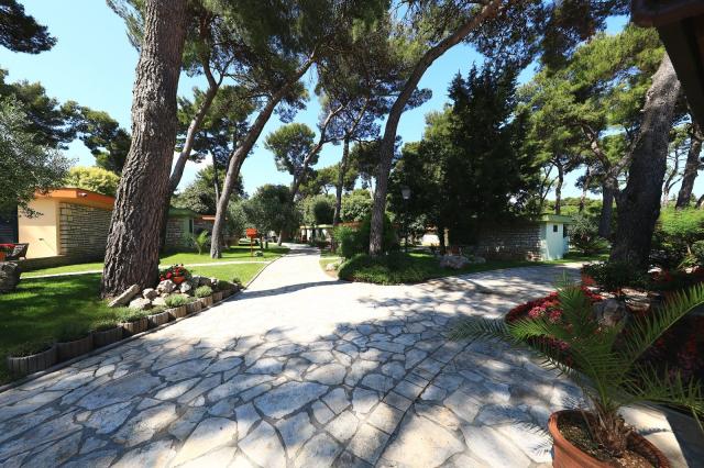Dovolenka / zájazdy / cestovanie, Chorvátsko, Biograd na Moru, 