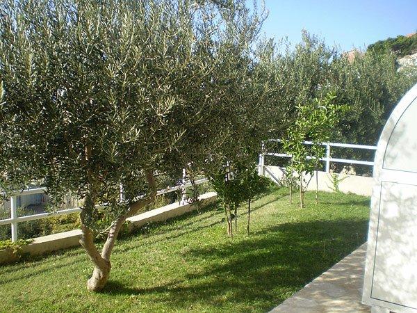 Dovolenka / zájazdy / cestovanie, Chorvátsko, Omiš, apartmány T