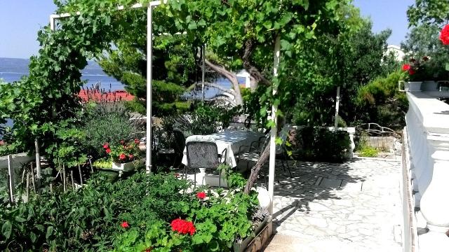 Dovolenka / zájazdy / cestovanie, Chorvátsko, Pisak - apartmány