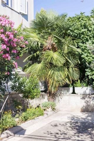 Dovolenka / zájazdy / cestovanie, Chorvátsko, Vodice, apartmány
