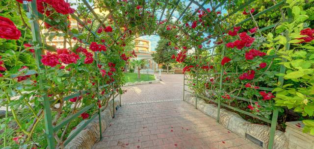 Bulharsko - Slnečné pobrežie - hotel Mena Palace - ruže