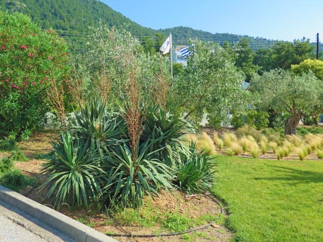 Thassos - Skala Panagia - Hotel Princess Golden Beach - záhrada