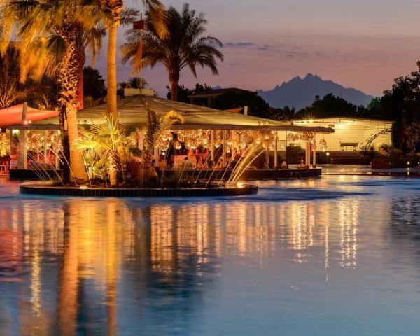 Desert Rose Resort