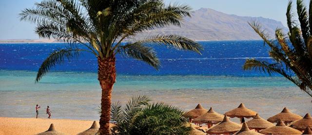 Baron Palms Resort