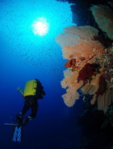 The Breakers Diving