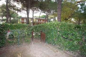 Burchiello