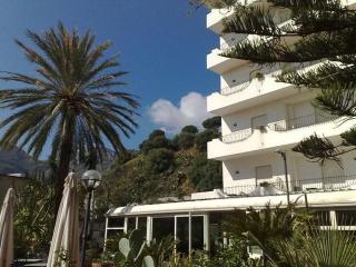 Delle Palme
