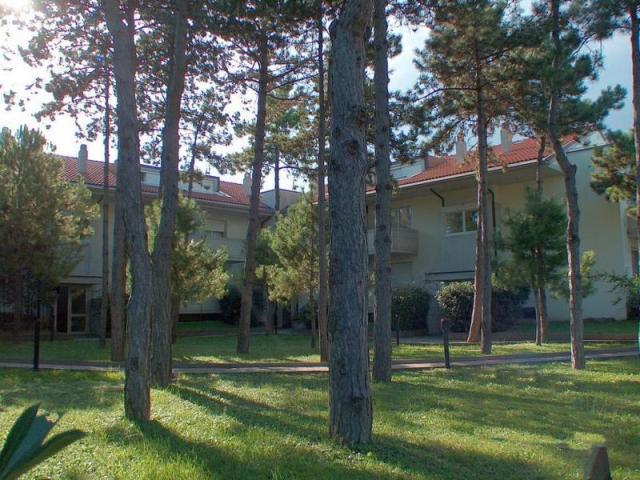 Parco Hemingway