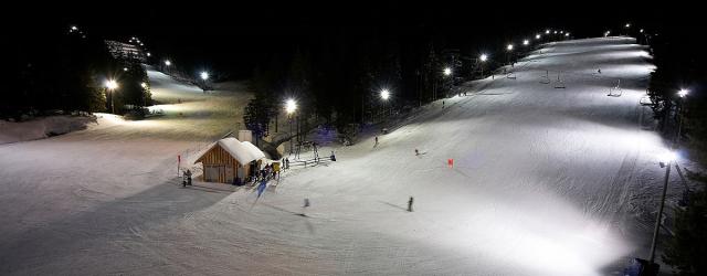 Rogla