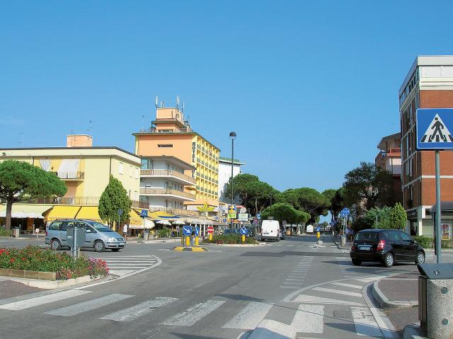 Sole