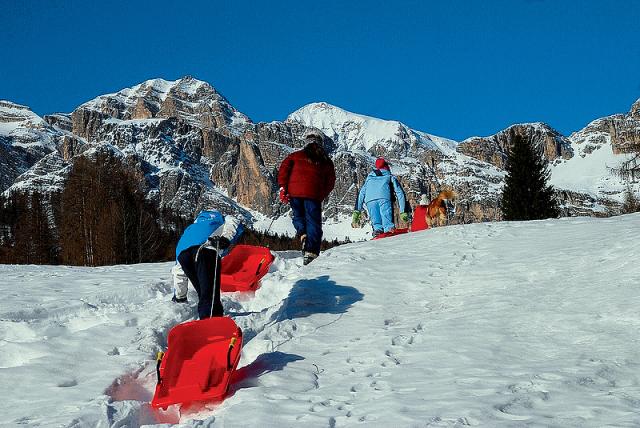 Cortina Barisetti