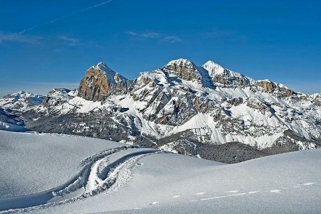 Cortina Barisetti