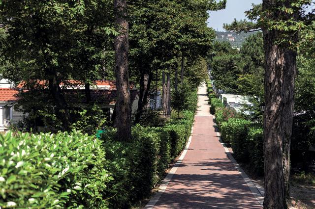 Village Mare Pineta
