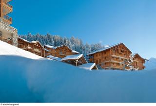 Residence Oree des Cimes