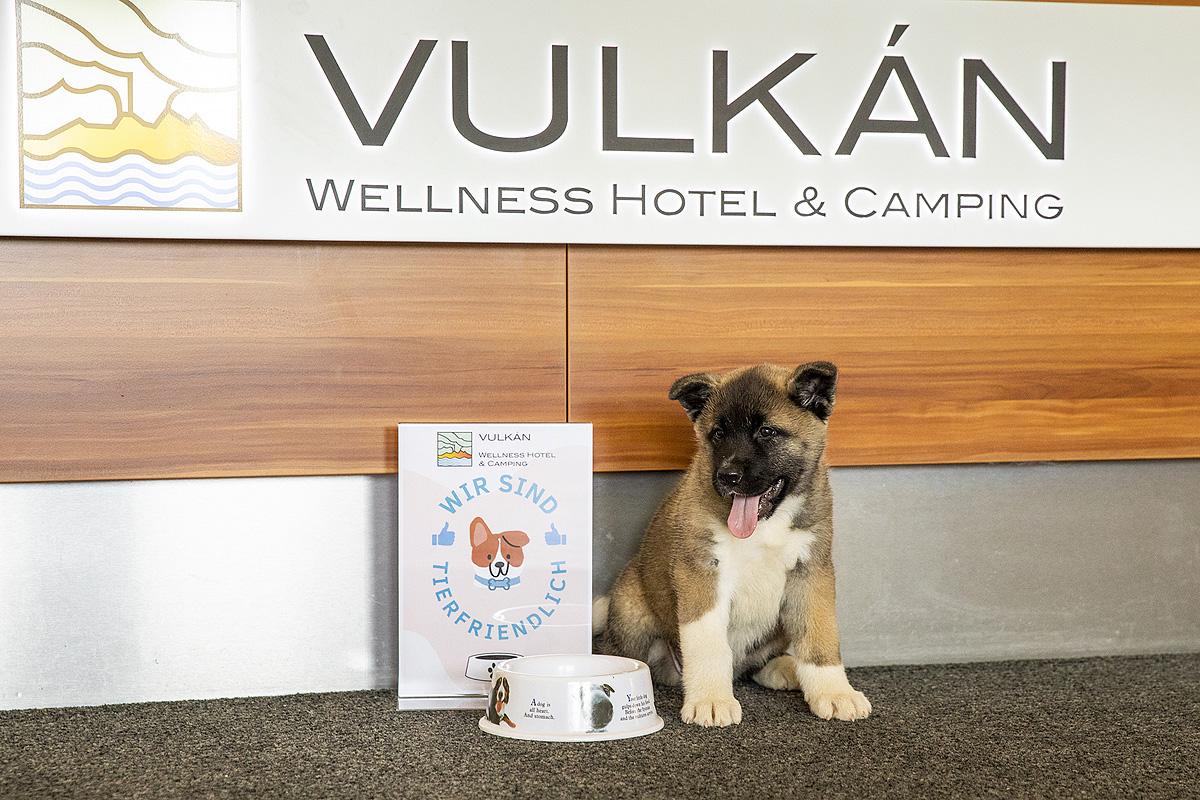 Jufa Vulkan Thermen Resort