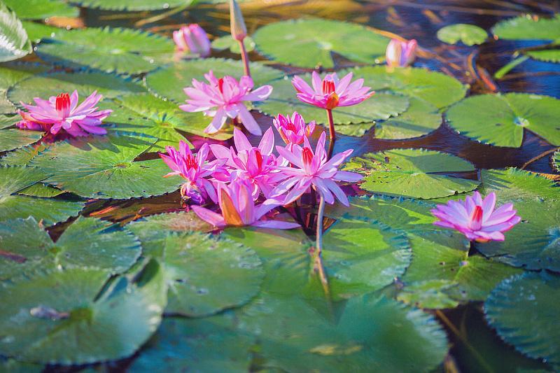 Hunguest Hotel Helios