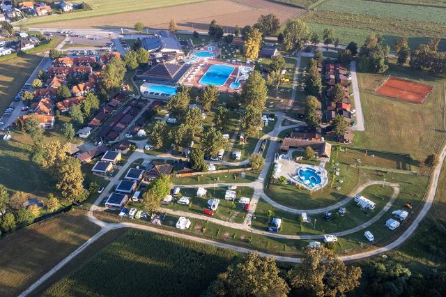 Zeleni Gaj
