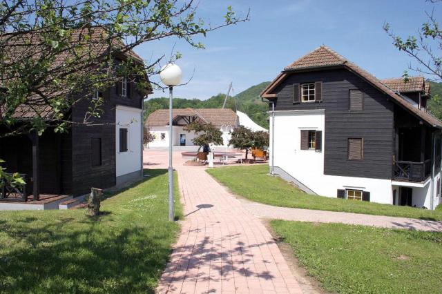 Lipa
