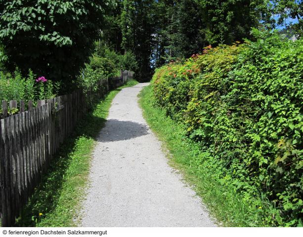 Etappe 18_Bad Goisern_Soleleitungsweg (c)Ferienregion Dachstein