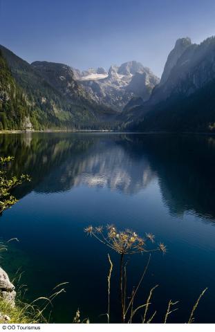 Gosausee mit Dachstein (C) OÖ Tourismus.jpg