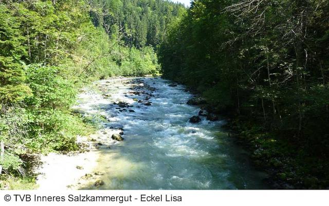 5© TVB Inneres Salzkammergut - Eckel Lisa.jpg