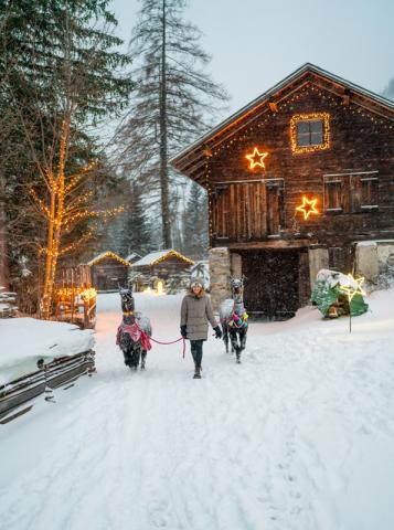 Mallnitz SKI OPENING Advent